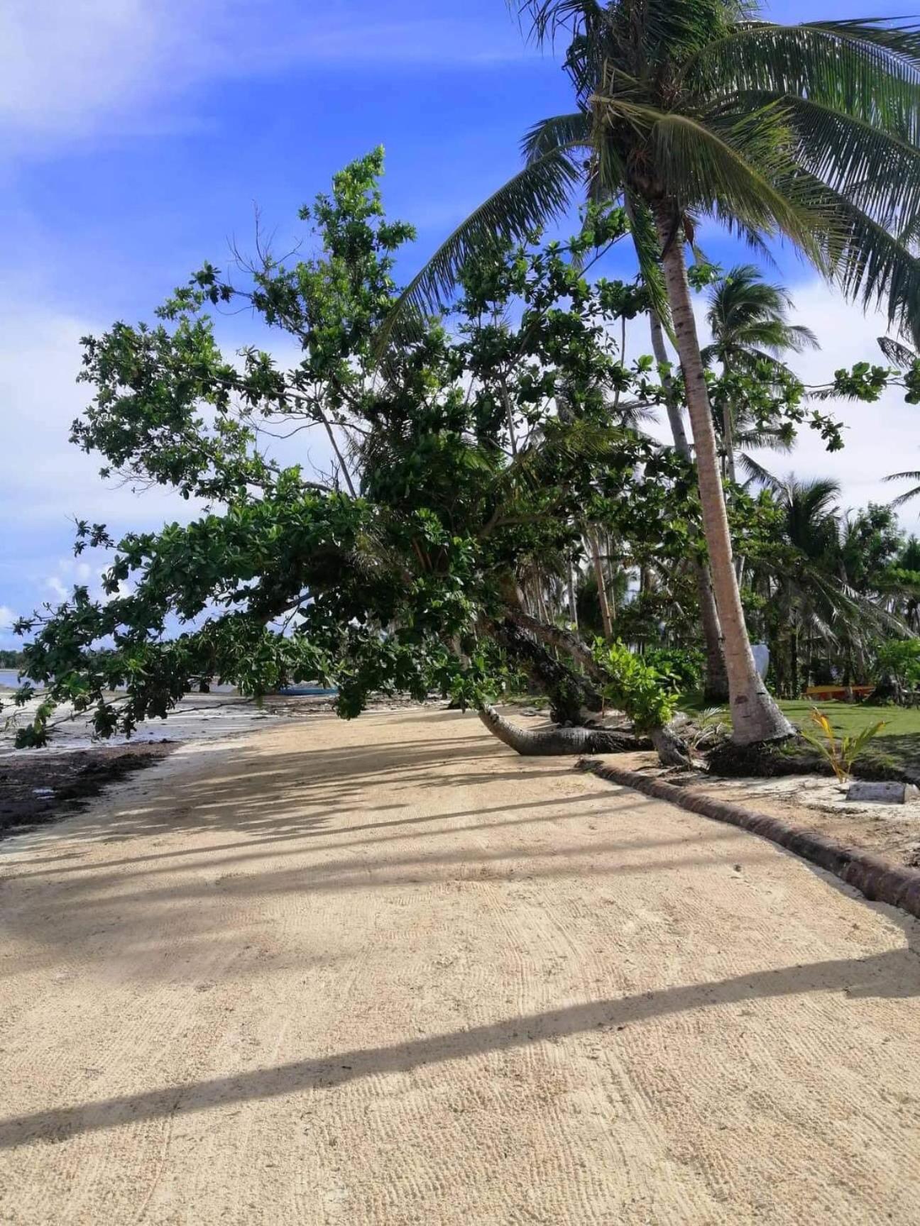 Siargao Longterm Villas - Epbliss General Luna  Eksteriør bilde